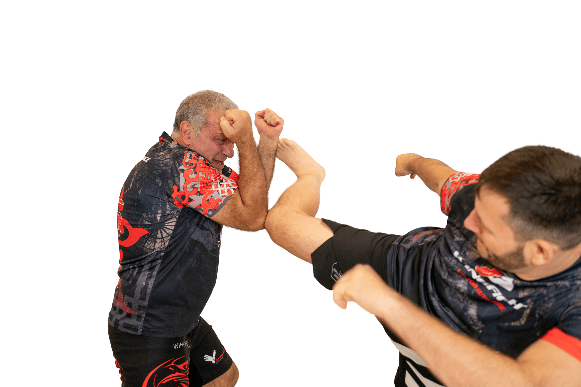Wing Fight Intensivtage mit Sifu Victor Guttierez